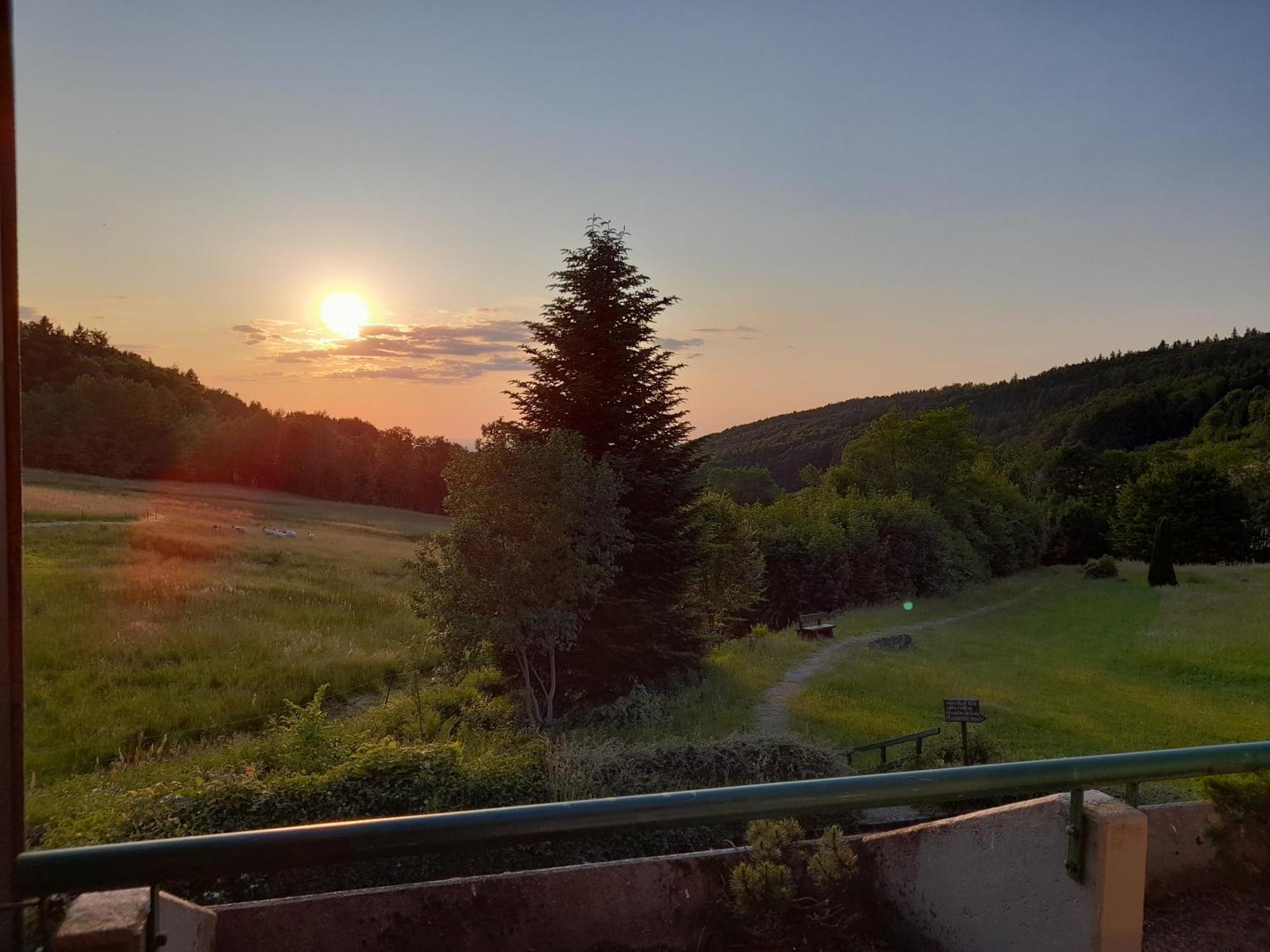 Schwarzwald Pur Daire Sasbachwalden Dış mekan fotoğraf